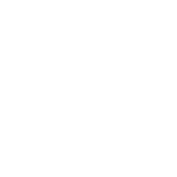 nBS_White__Feed_In_Tariff