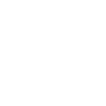 Icon-Webinar-White