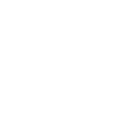 Icon-Webinar-White