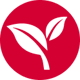 leaf-icon
