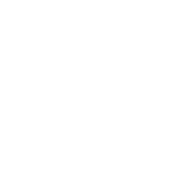 Pylon_Icon_W