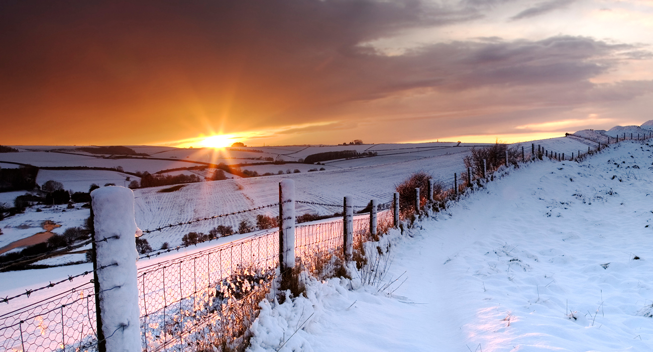 Energy prices this winter: what’s driving the market?