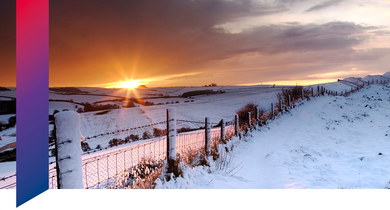 Energy prices this winter: what’s driving the market?