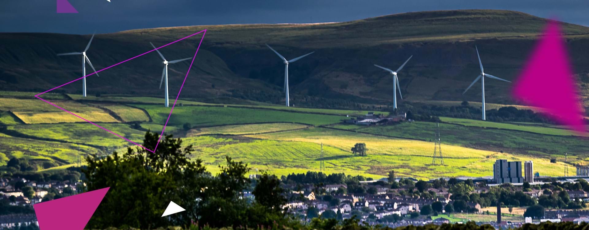 Harnessing the business benefits of net zero
