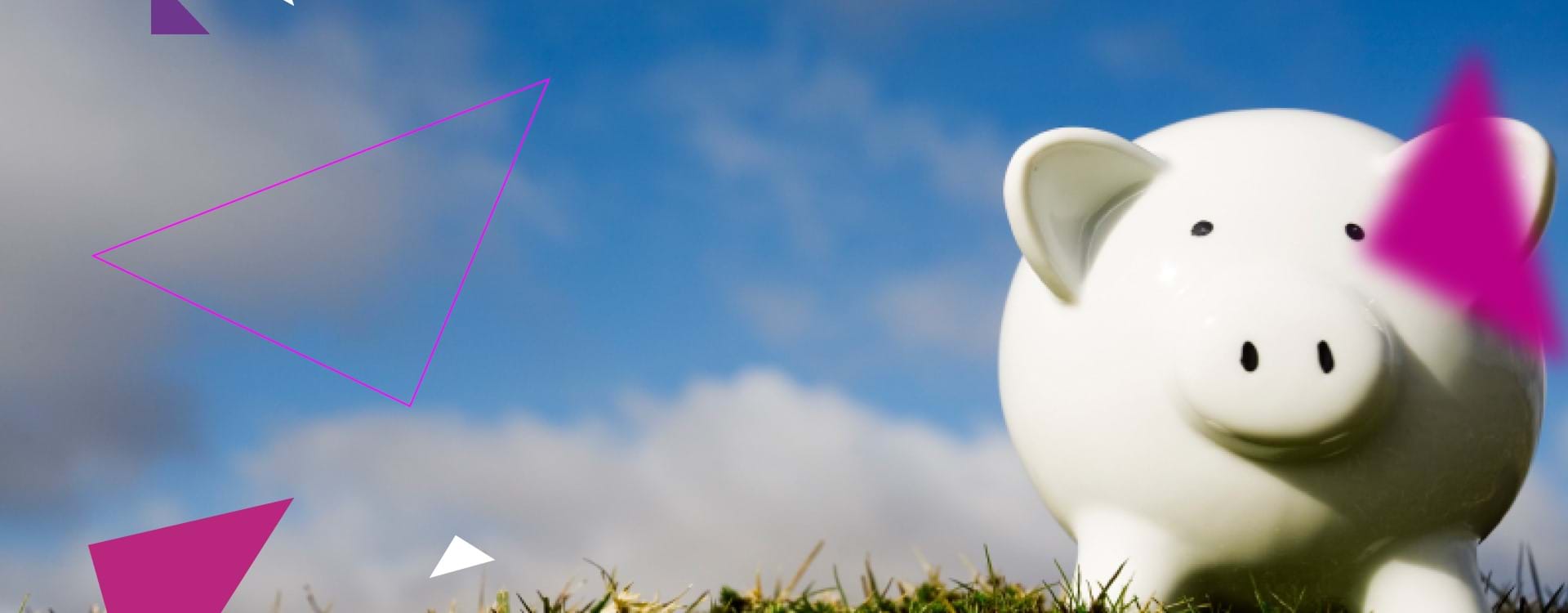 Why funding net zero is contentious