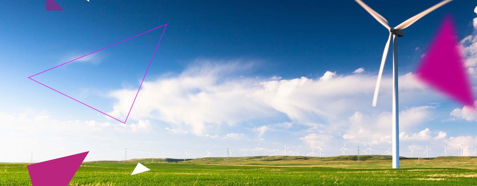 How businesses can achieve net zero by 2050: Q&A with Frank Gordon, Head of Policy at REA