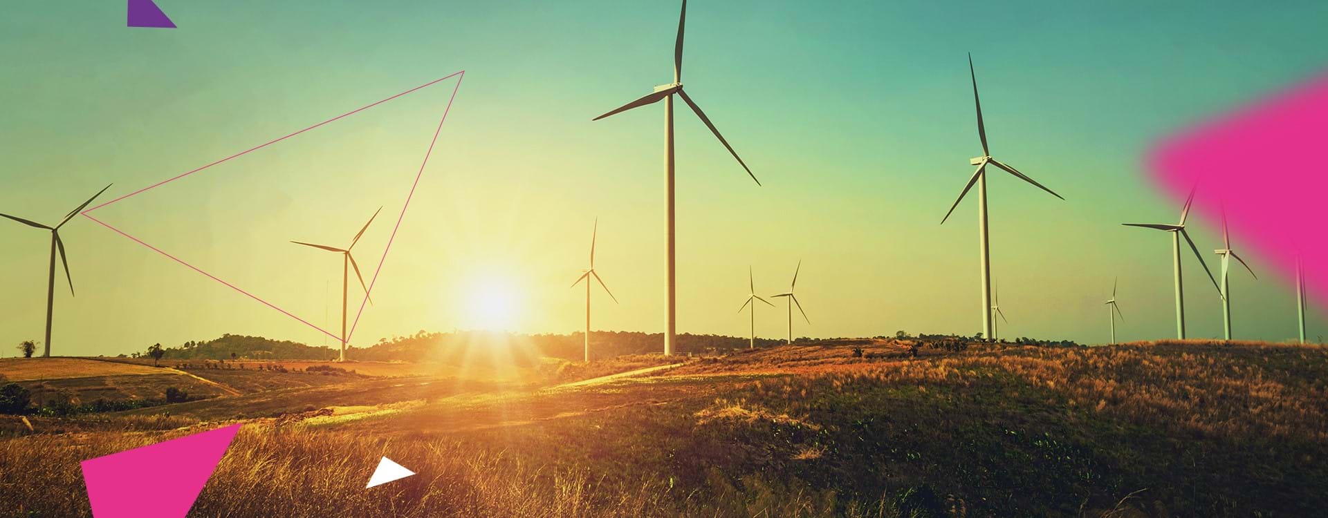 Net zero carbon: lots of talk, now it’s time to act