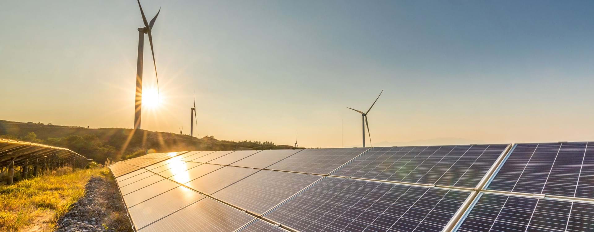 Demystifying the government’s net zero plans for businesses